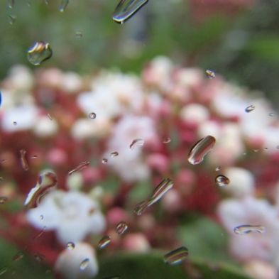 tsaPhotoClubwk7 (32)